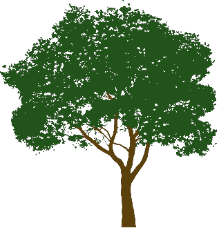 trees silhouettes stock illustration image of color 43384093 be a smart ash trees silhouettes stock illustration image of color 43384093 be a smart ash